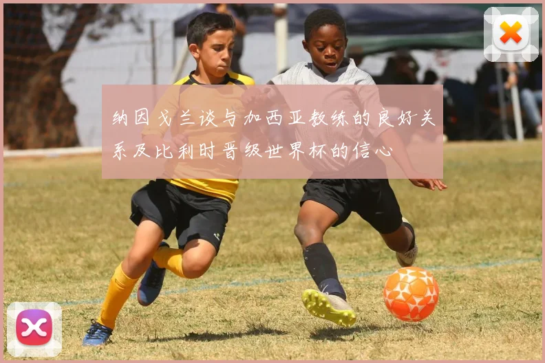 纳因戈兰谈与加西亚教练的良好关系及比利时晋级世界杯的信心